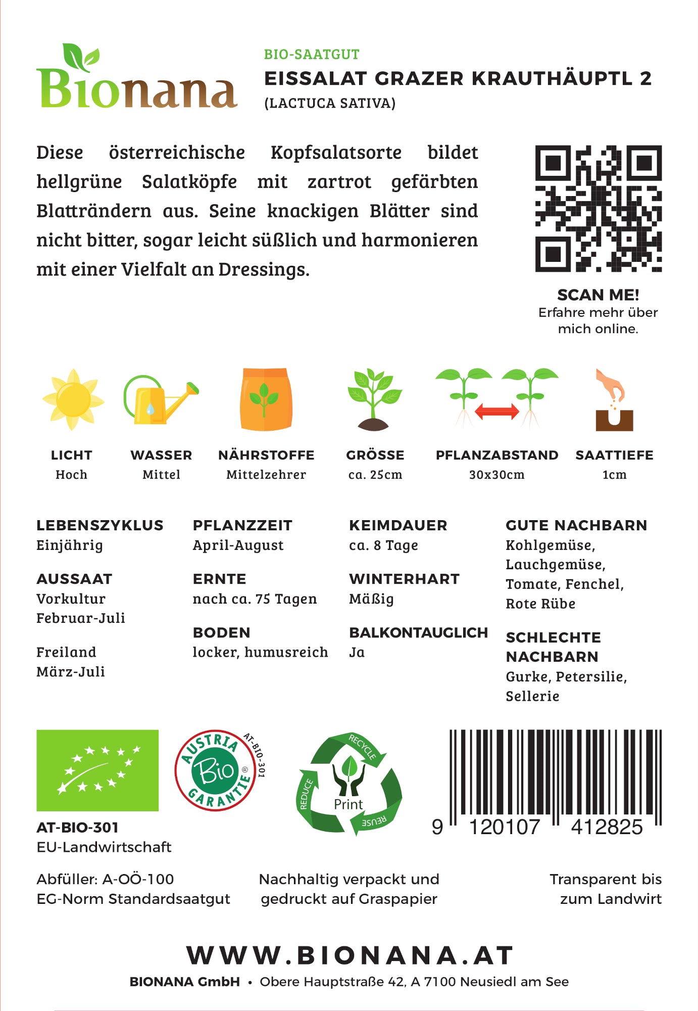 Artikelbild 2 von "BIO Eissalat Grazer Krauthäuptel" aus der Kategorie Eissalatsamen