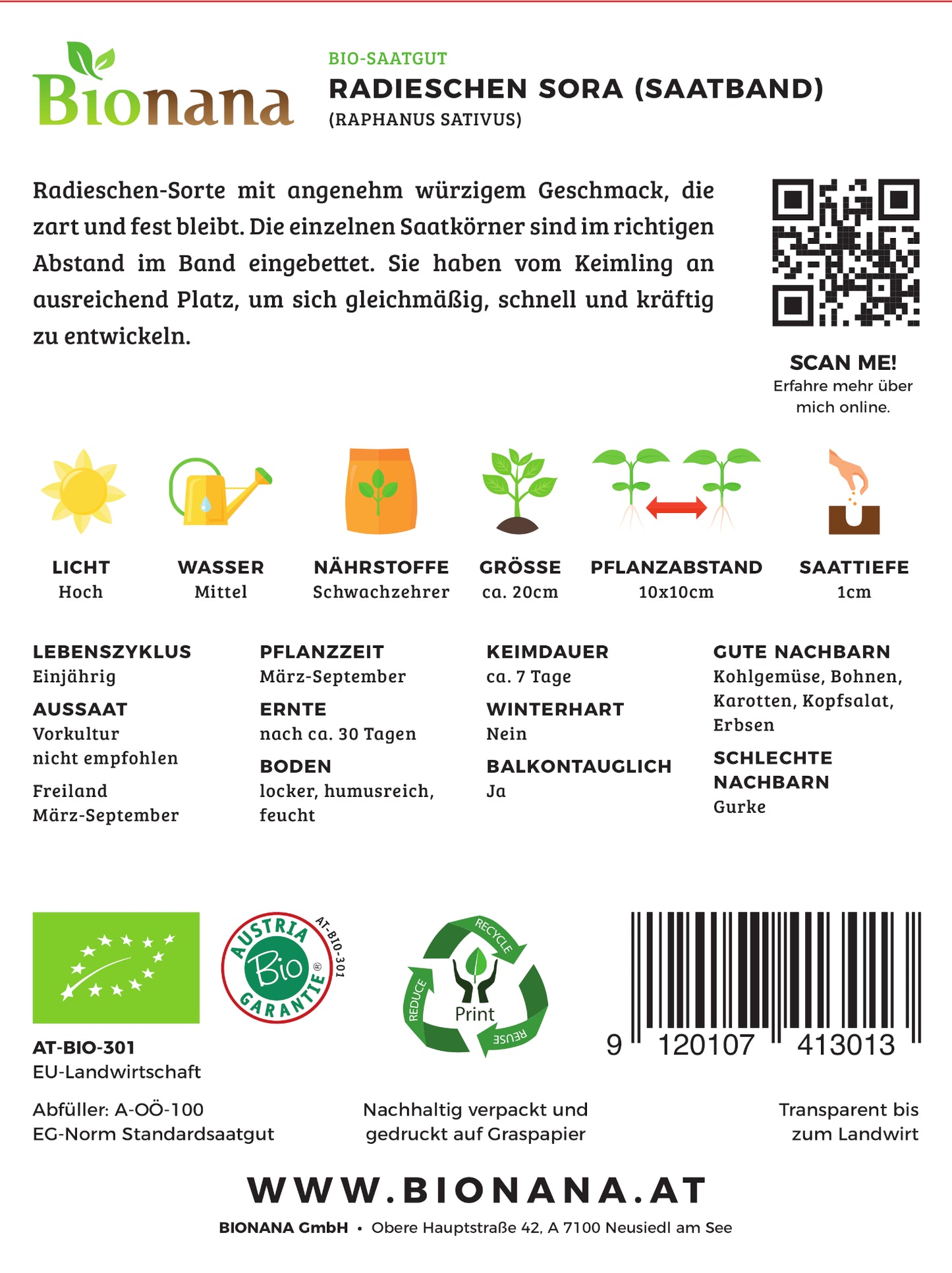 Artikelbild 2 von "BIO Radieschen Sora (Saatband)" aus der Kategorie Radieschensamen