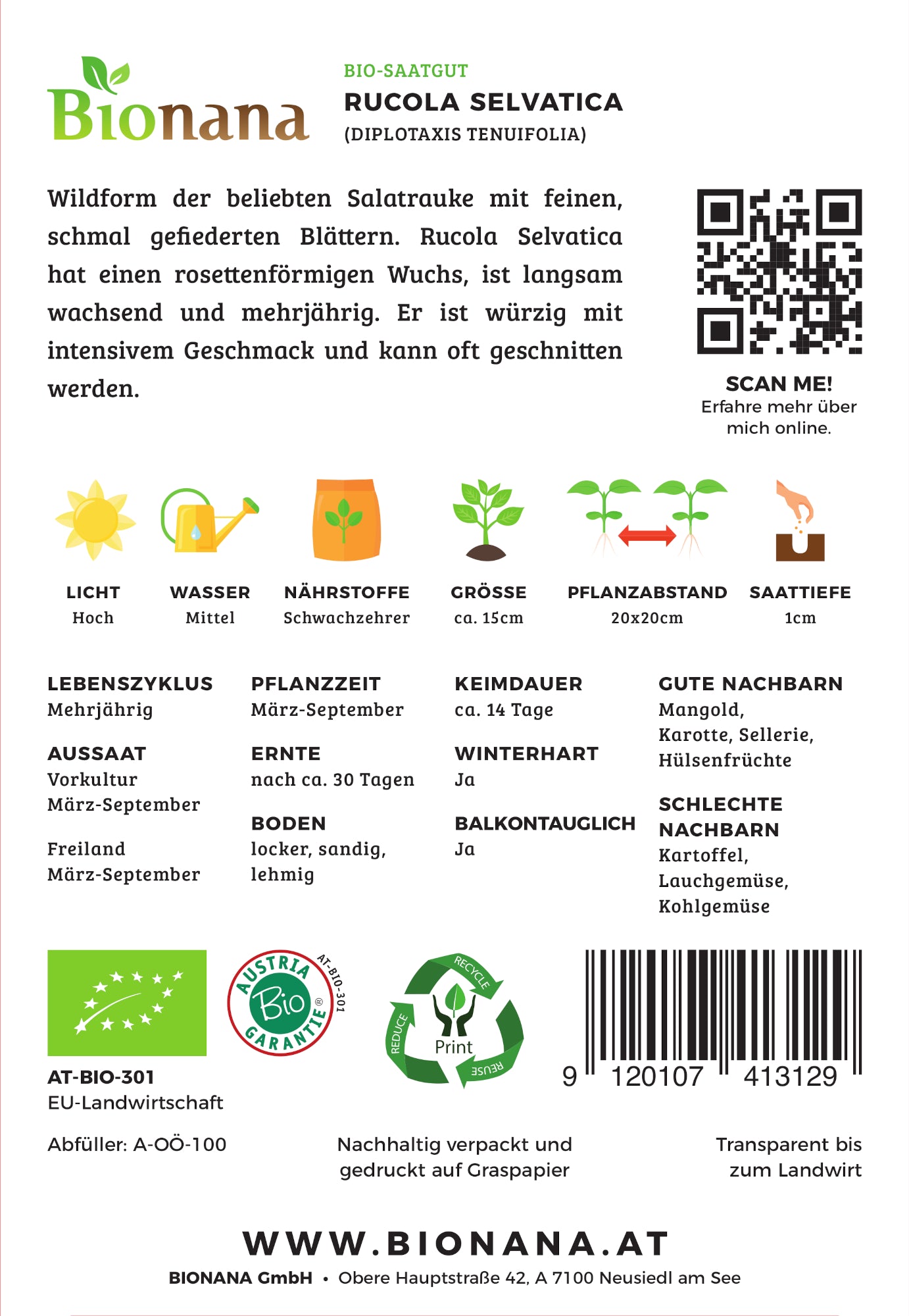 Artikelbild 2 von "BIO Rucola Selvatica" aus der Kategorie Rucola- / Raukesamen
