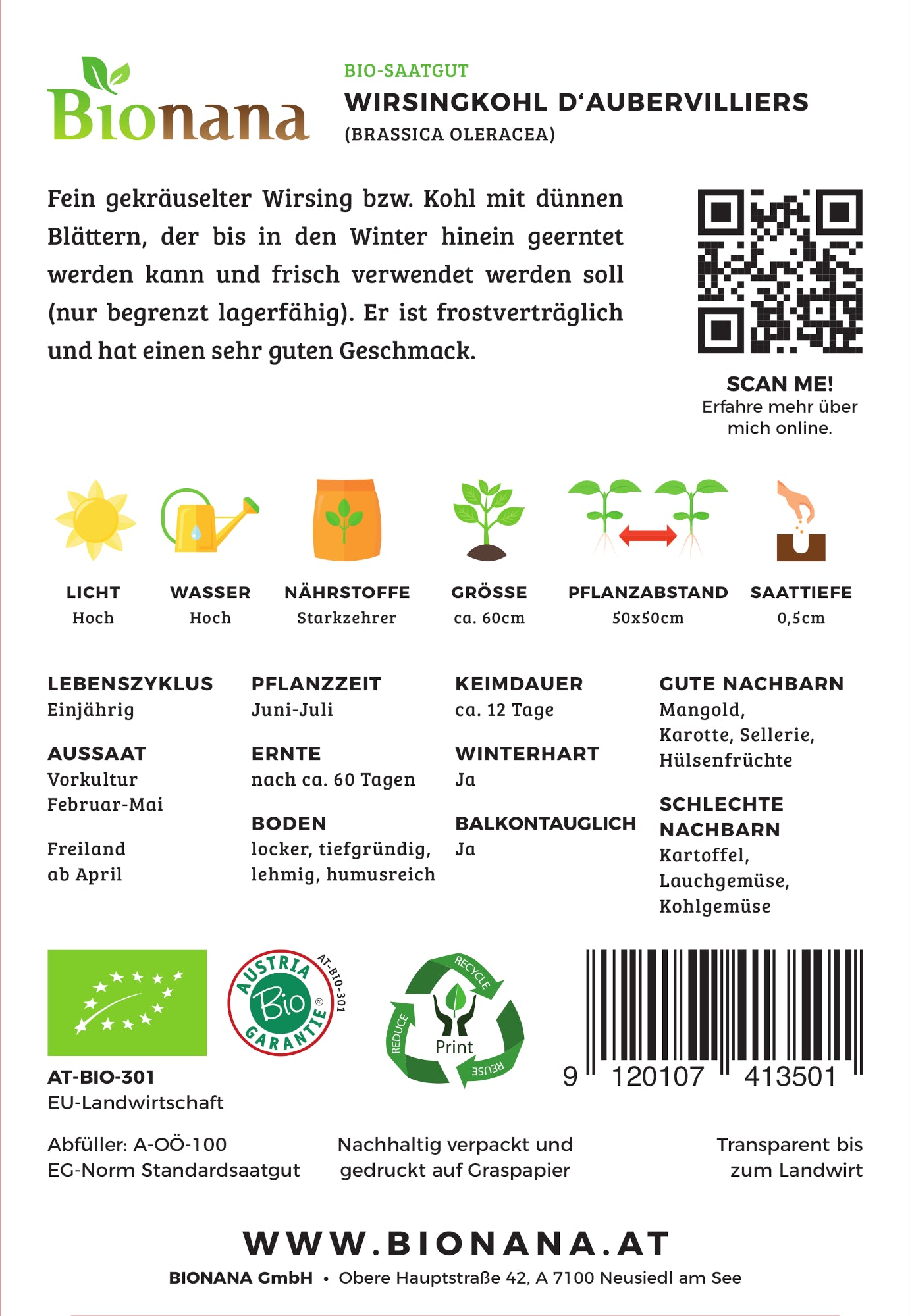 Artikelbild 2 von "BIO Wirsingkohl D'Aubervilliers" aus der Kategorie Wirsingsamen