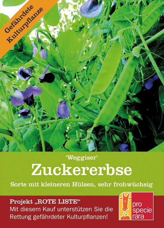 Artikelbild 1 von "BIO Zuckererbse Weggiser" aus der Kategorie Zuckererbsensamen