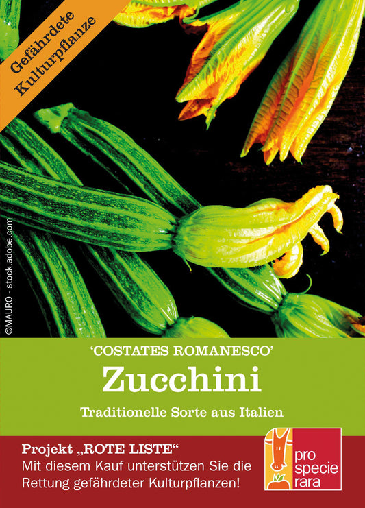 Artikelbild 1 von "BIO Zucchini Costates Romanesco" aus der Kategorie Zucchinisamen