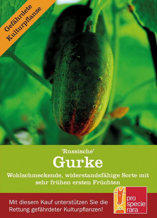 Artikelbild 1 von "BIO Russische Gurke" aus der Kategorie Gurkensamen
