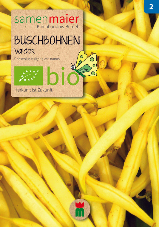 Artikelbild 1 von "BIO Buschbohne Valdor gelb" aus der Kategorie Buschbohnensamen
