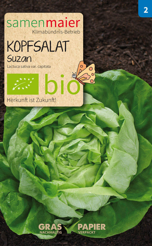 Artikelbild 1 von "BIO Kopfsalat Suzan" aus der Kategorie Kopfsalatsamen