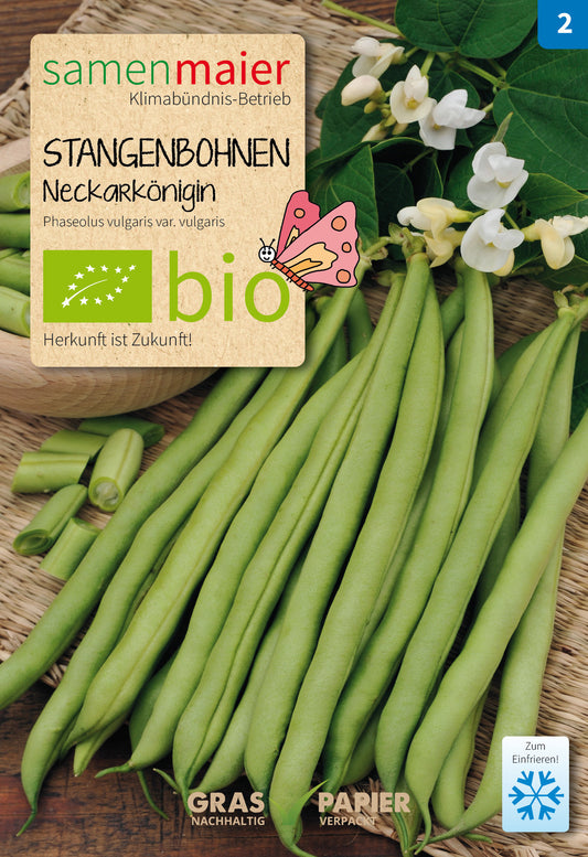 Artikelbild 1 von "BIO Stangenbohnen Neckarkönigin ohne Faden" aus der Kategorie Stangenbohnensamen