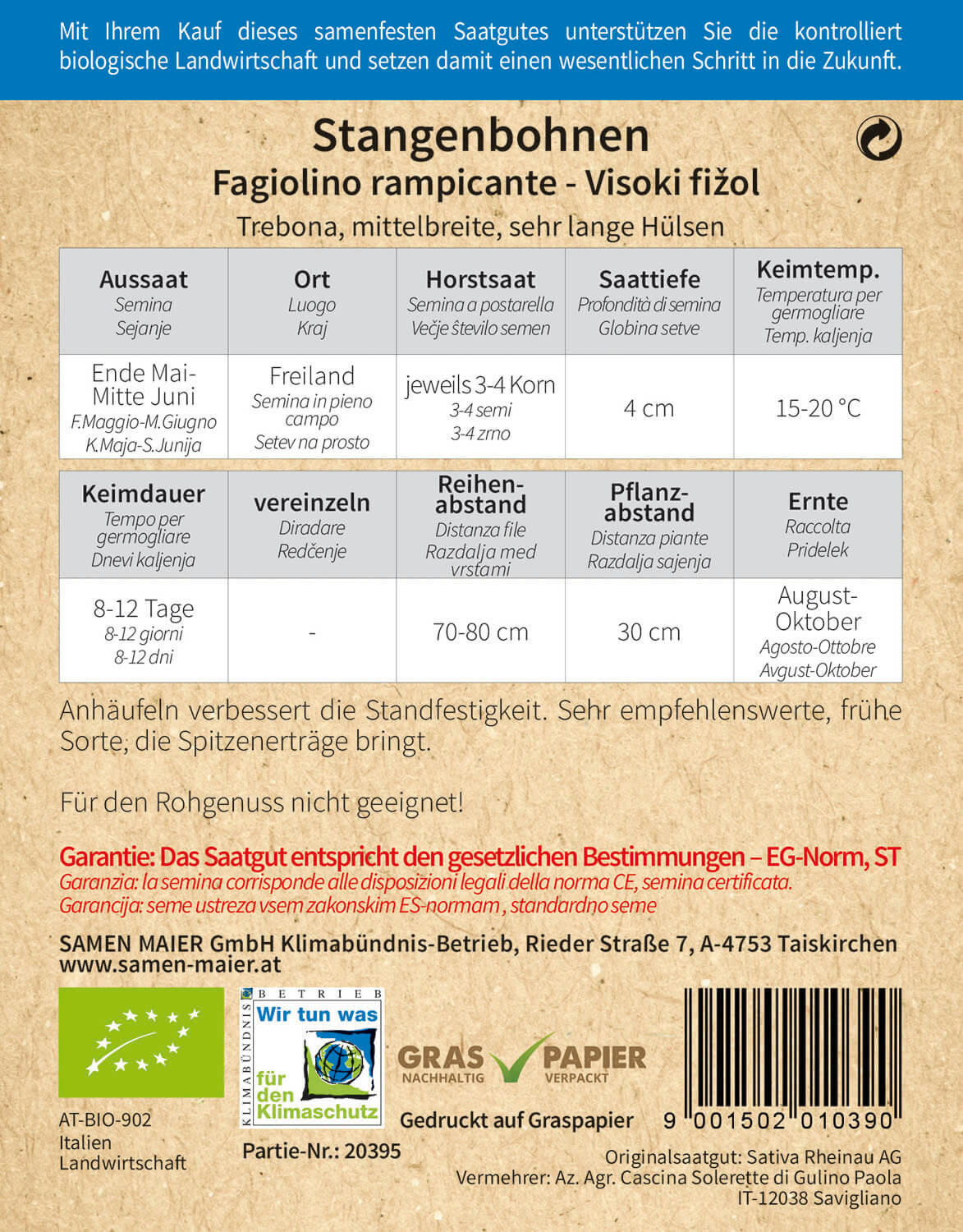 Artikelbild 2 von "BIO Stangenbohnen Trebona grün" aus der Kategorie Stangenbohnensamen