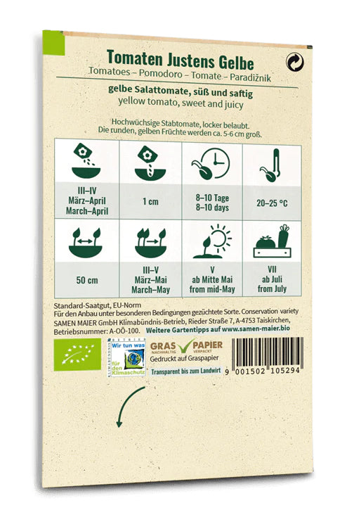 Tomate Justens Gelbe | BIO Tomatensamen von Samen Maier