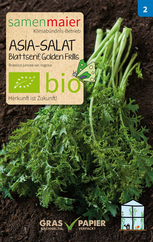Artikelbild 1 von "BIO Asia - Salat Blattsenf Golden Frills" aus der Kategorie Asiasalatsamen
