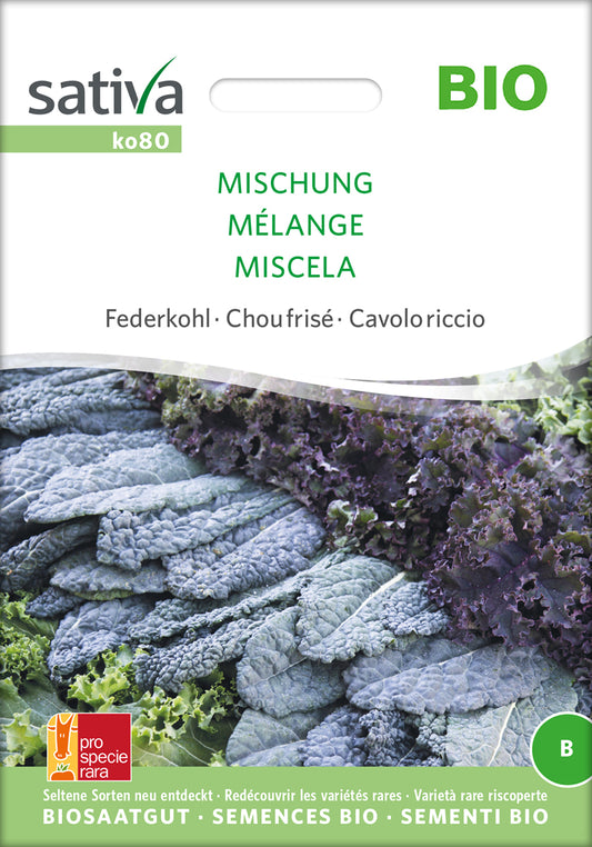 Artikelbild 1 von "BIO Grünkohl Mischung" aus der Kategorie Grünkohlsamen