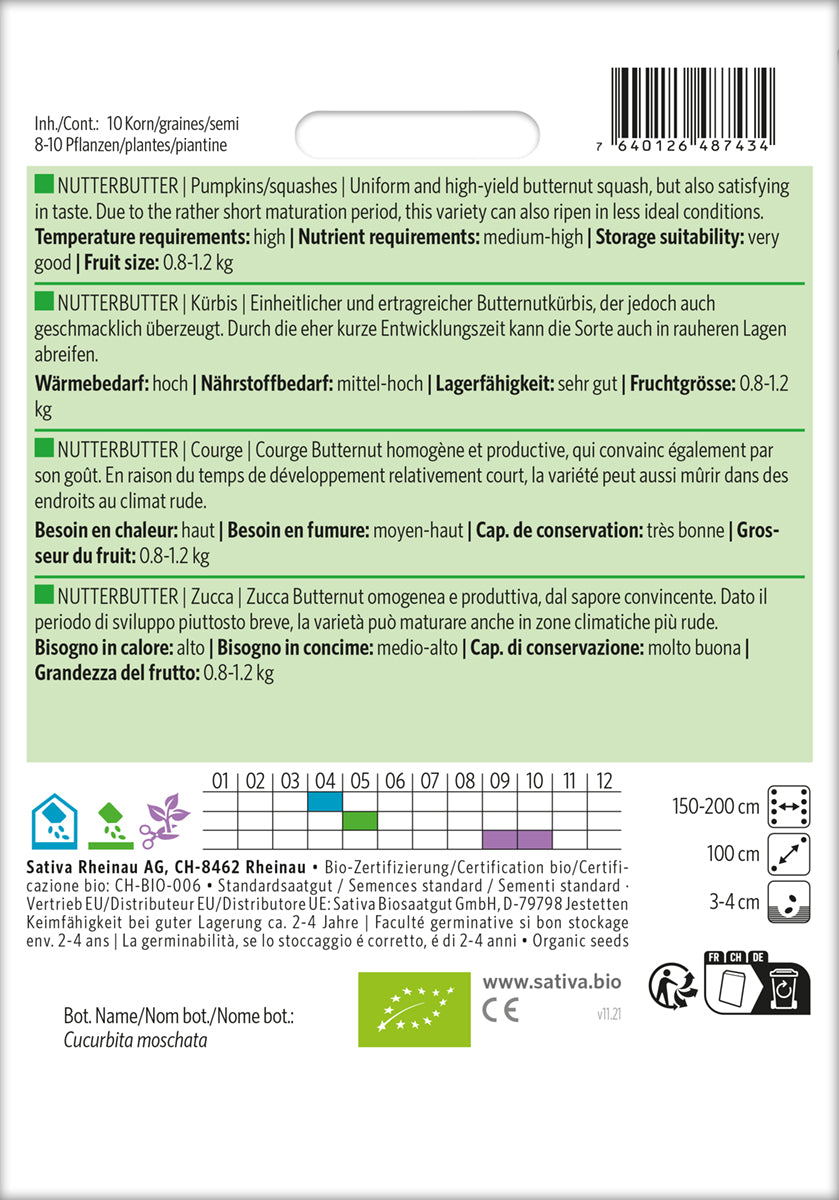 Artikelbild 2 von "BIO Kürbis Nutterbutter" aus der Kategorie Butternutkürbissamen