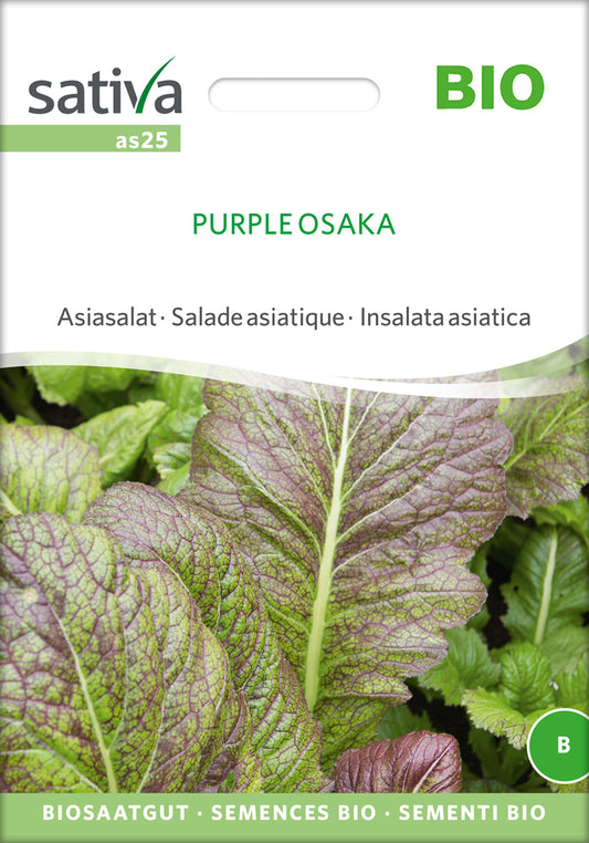 Artikelbild 1 von "BIO Asiasalat Purple Osaka" aus der Kategorie Asiasalatsamen