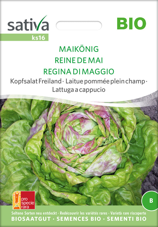 Artikelbild 1 von "BIO Kopfsalat Maikönig" aus der Kategorie Kopfsalatsamen