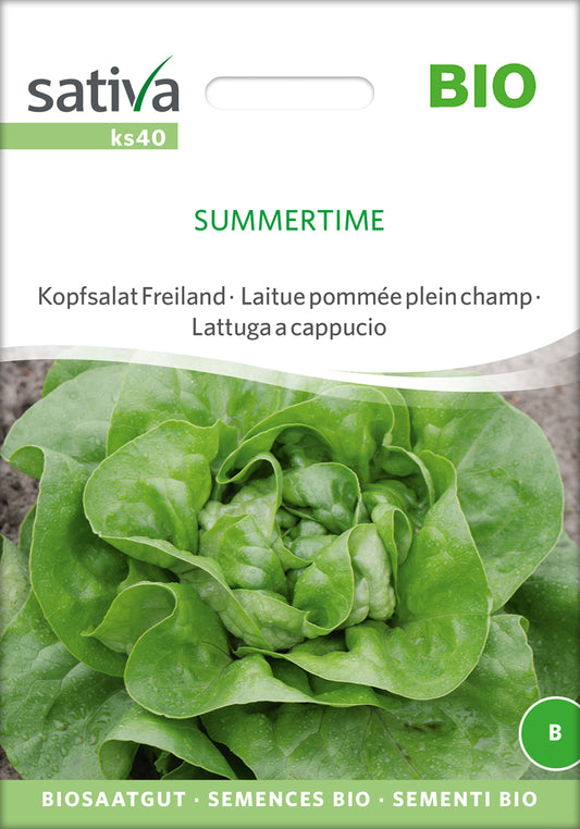 Artikelbild 1 von "BIO Kopfsalat Summertime" aus der Kategorie Kopfsalatsamen