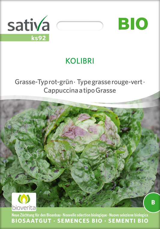 Artikelbild 1 von "BIO Kopfsalat Kolibri" aus der Kategorie Kopfsalatsamen