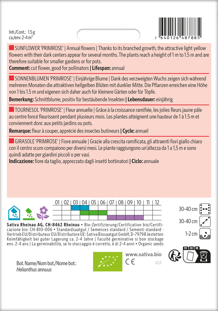 Artikelbild 2 von "BIO Sonnenblume Primrose" aus der Kategorie Sonnenblumensamen