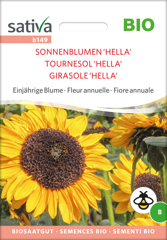 Artikelbild 1 von "BIO Sonnenblume Hella" aus der Kategorie Sonnenblumensamen