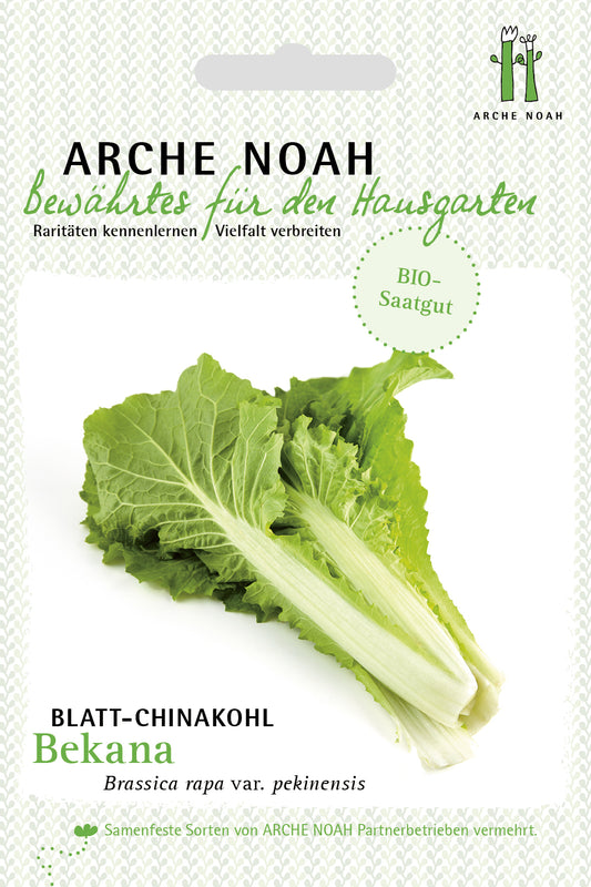 Artikelbild 1 von "BIO Blattchinakohl Bekana" aus der Kategorie Chinakohlsamen