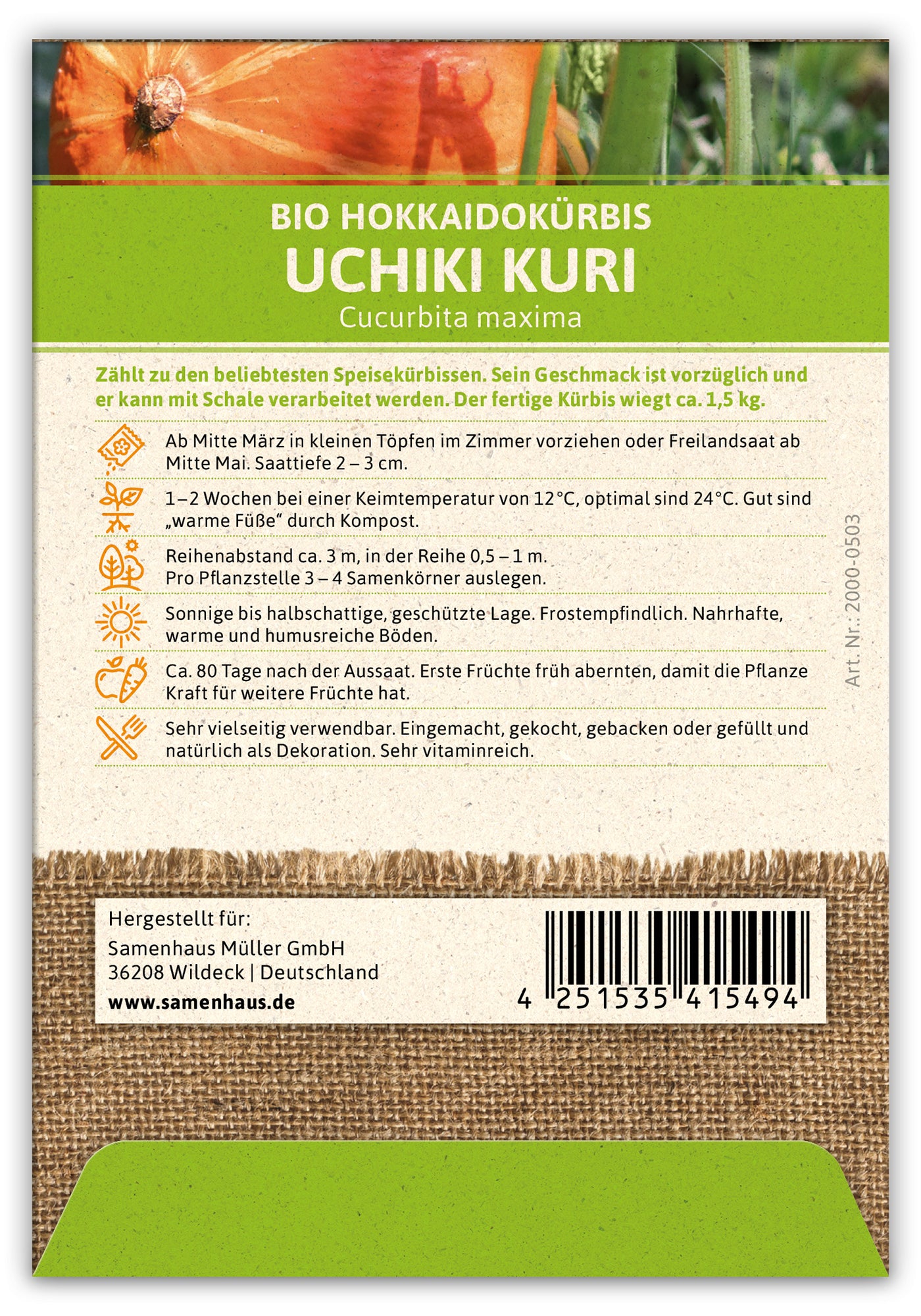 Hokkaidokürbis Uchiki Kuri (100 Stück) | BIO Kürbissamen von FLORTUS