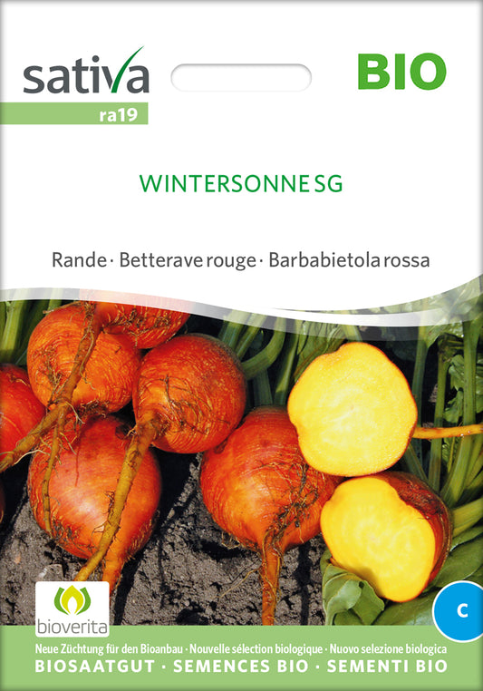 Artikelbild 1 von "BIO Rote Rübe Wintersonne SG" aus der Kategorie Rote Beetesamen