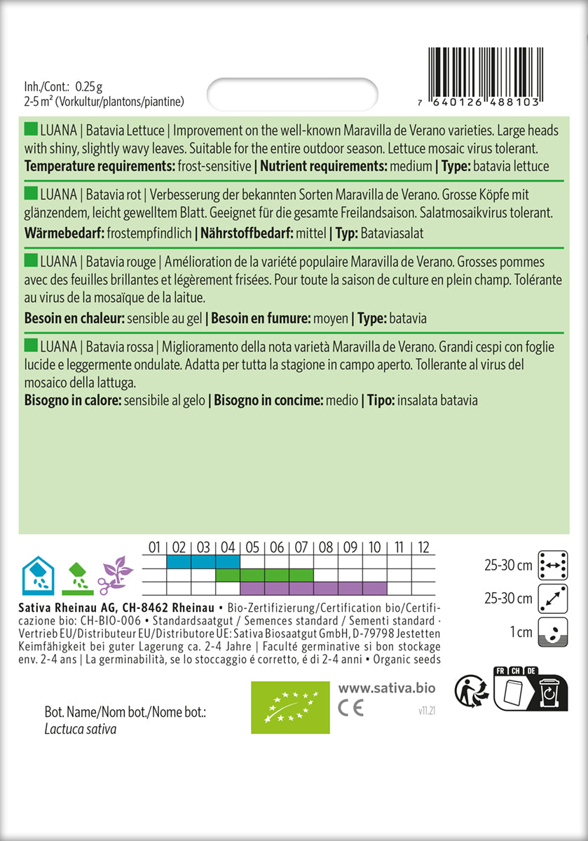 Artikelbild 2 von "BIO Batavia rot Luana" aus der Kategorie Eissalatsamen