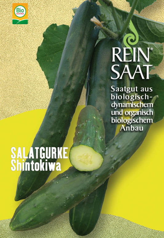 Artikelbild 1 von "BIO Freilandgurke Shintokiwa" aus der Kategorie Freilandgurkensamen