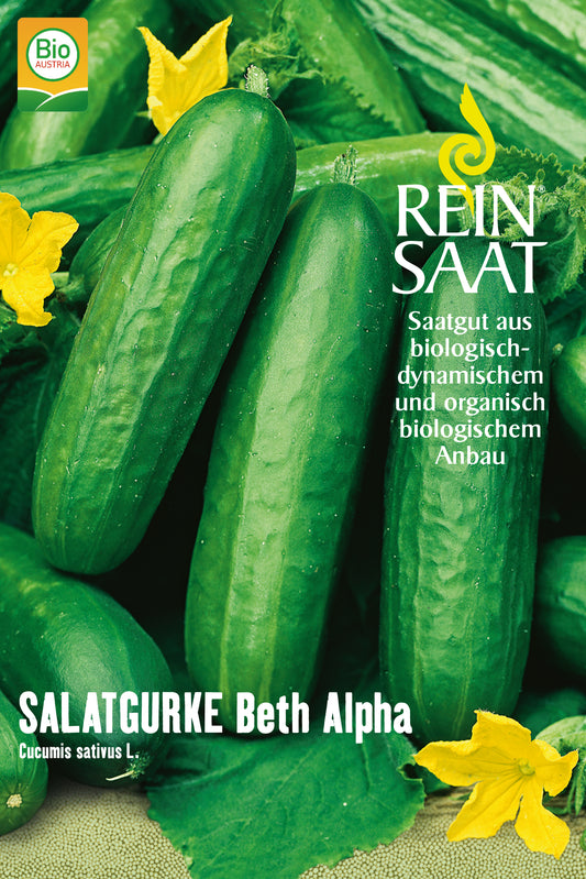 Artikelbild 1 von "BIO Salatgurke Beth Alpha" aus der Kategorie Salatgurkensamen