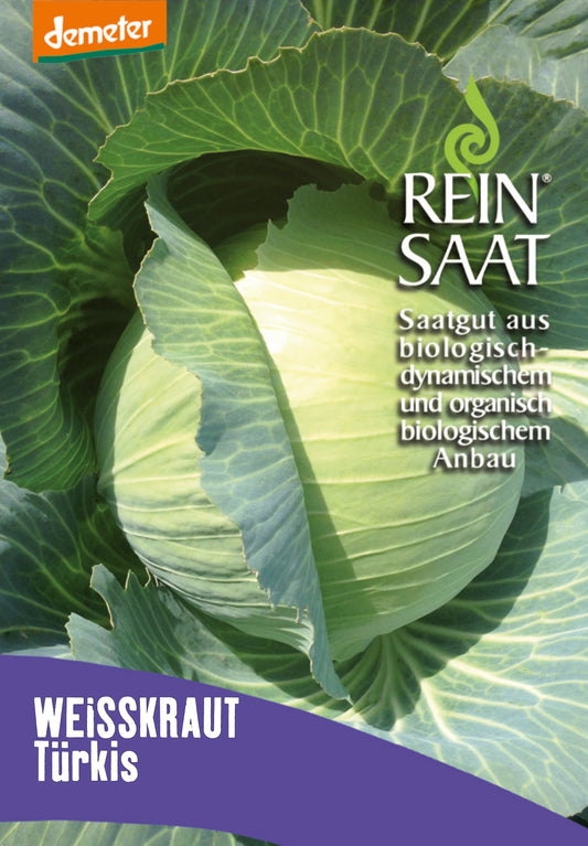 Artikelbild 1 von "BIO Weißkraut Türkis" aus der Kategorie Weißkohlsamen