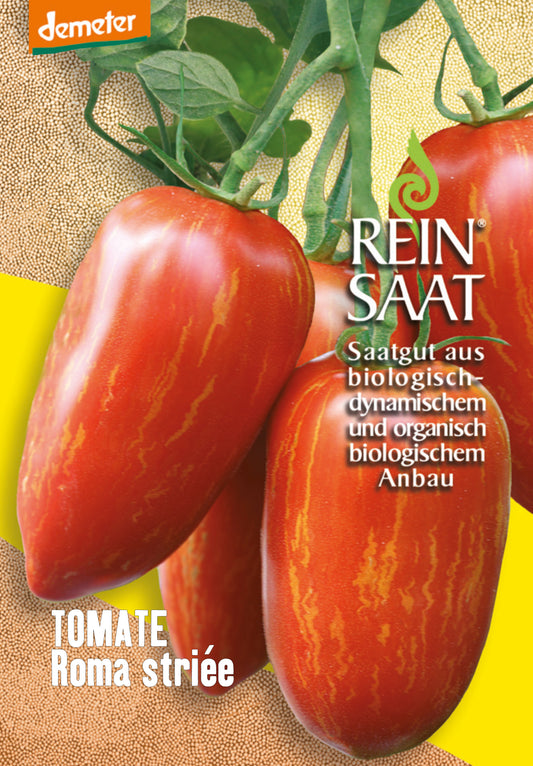 Artikelbild 1 von "BIO Saucentomate Roma striée" aus der Kategorie Romatomatensamen