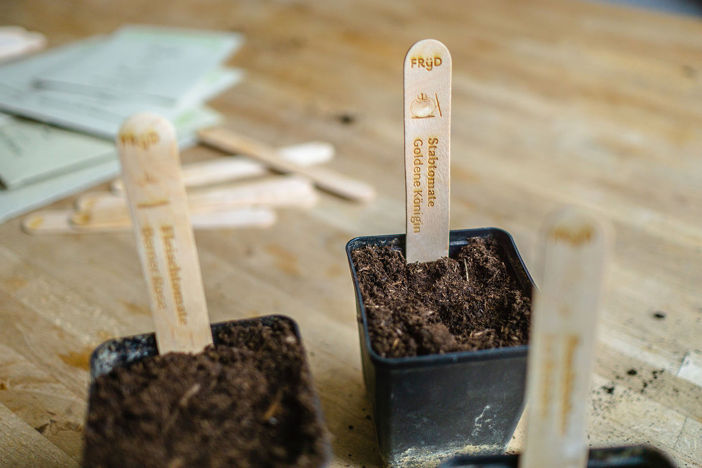 Artikelbild 6 von "Fryd Saatgut-Set ‚Alte Sorten‘"