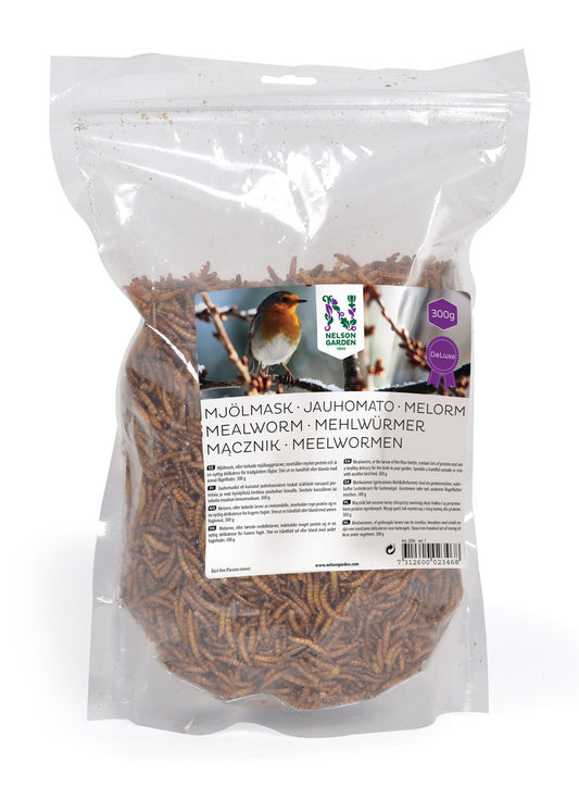 Artikelbild 1 von "Vogelfutter Mehlwürmer (300 g)" aus der Kategorie Vogelfutter