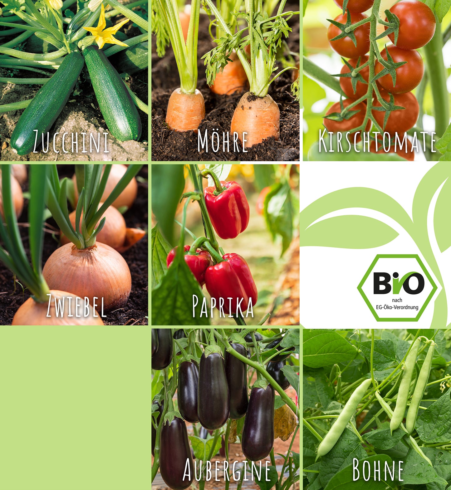 Artikelbild 8 von "BIO Grillgemüse-Set (7 Sorten)" aus der Kategorie Gemüsesamen-Sets