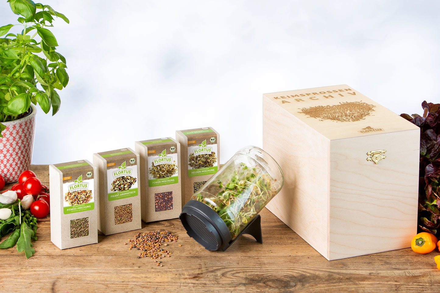 Artikelbild 7 von "BIO Keimsprossen Archiv - Mischungen (4 Sorten)"