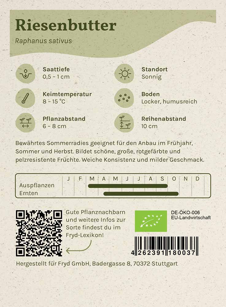 Artikelbild 2 von "Fryd BIO Radieschen Riesenbutter" aus der Kategorie Radieschensamen