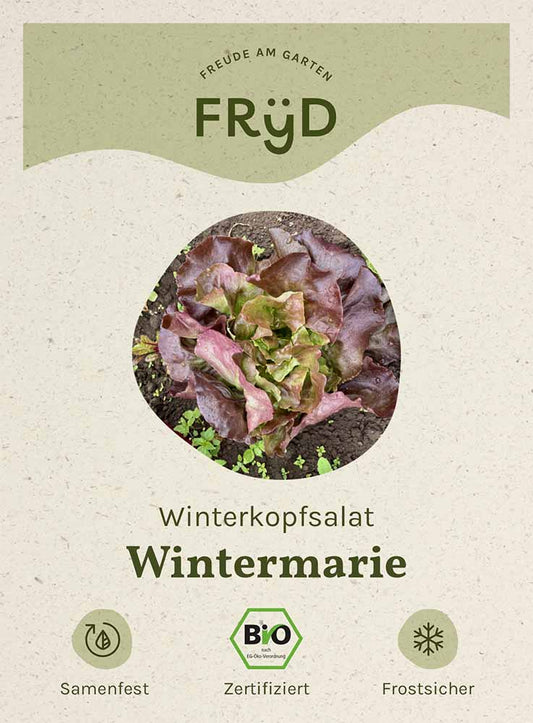 Artikelbild 1 von "Fryd BIO Winterkopfsalat Wintermarie" aus der Kategorie Kopfsalatsamen