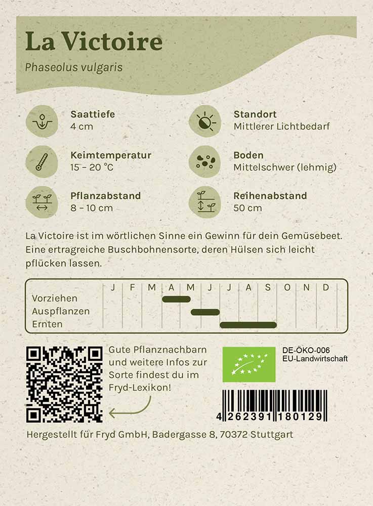 Artikelbild 2 von "Fryd BIO Buschbohne La Victoire" aus der Kategorie Buschbohnensamen