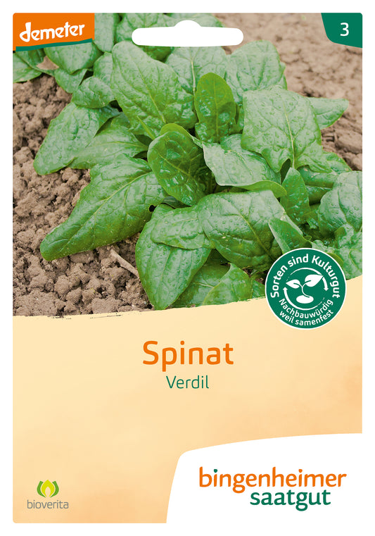 Artikelbild 1 von "BIO Spinat Verdil" aus der Kategorie Spinatsamen