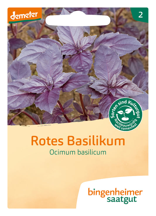 Artikelbild 1 von "BIO Rotes Basilikum" aus der Kategorie Basilikumsamen