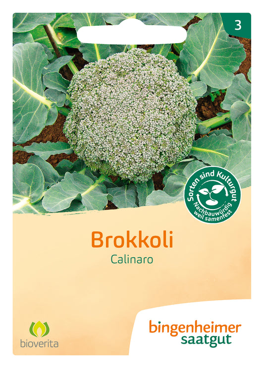 Artikelbild 1 von "BIO Brokkoli Calinaro" aus der Kategorie Brokkolisamen