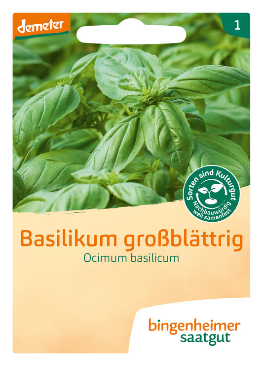 Artikelbild 1 von "BIO Basilikum großblättrig" aus der Kategorie Basilikumsamen