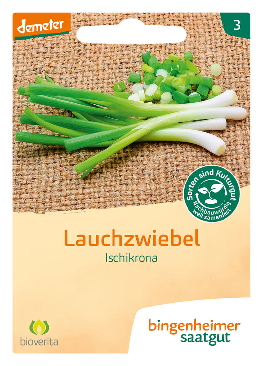 Artikelbild 1 von "BIO Lauchzwiebel Ischikrona" aus der Kategorie Lauchzwiebelsamen