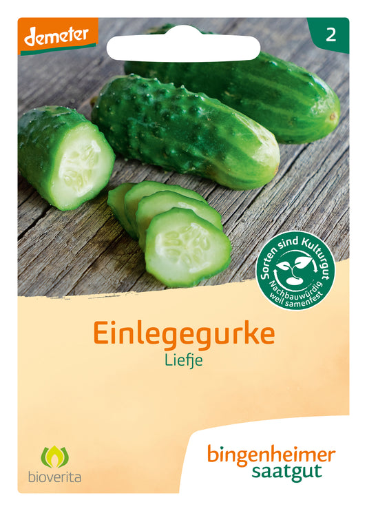 Artikelbild 1 von "BIO Einlegegurke Liefje" aus der Kategorie Einlegegurkensamen
