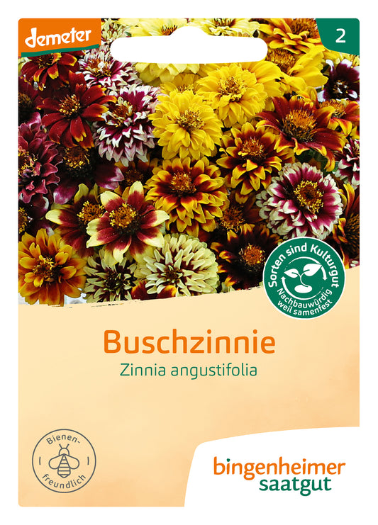 Artikelbild 1 von "BIO Buschzinnie" aus der Kategorie Zinniensamen
