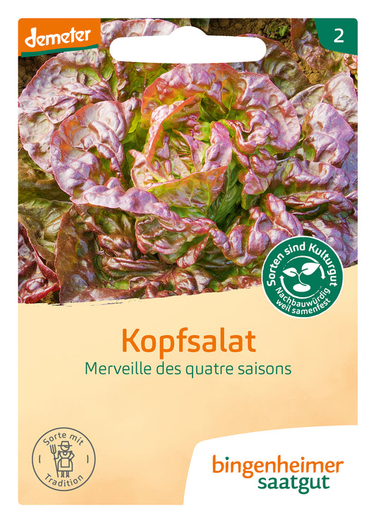 Artikelbild 1 von "BIO Kopfsalat M. des q. saisons" aus der Kategorie Kopfsalatsamen