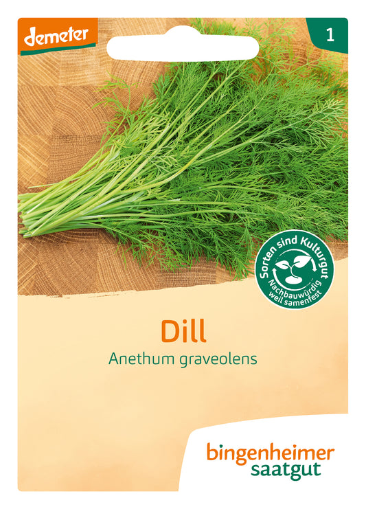 Artikelbild 1 von "BIO Dill Saatscheiben" aus der Kategorie Dillsamen