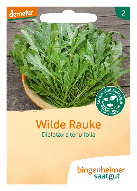Artikelbild 1 von "BIO Wilde Rauke" aus der Kategorie Rucola- / Raukesamen