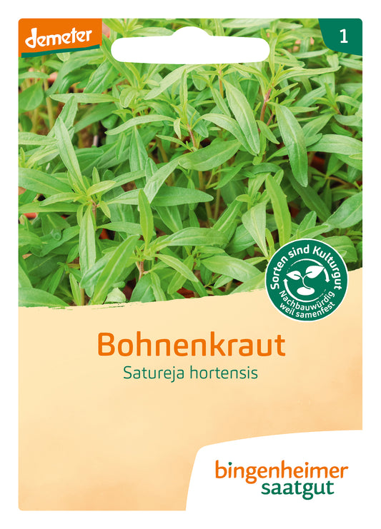 Artikelbild 1 von "BIO Bohnenkraut einjährig" aus der Kategorie Bohnenkrautsamen