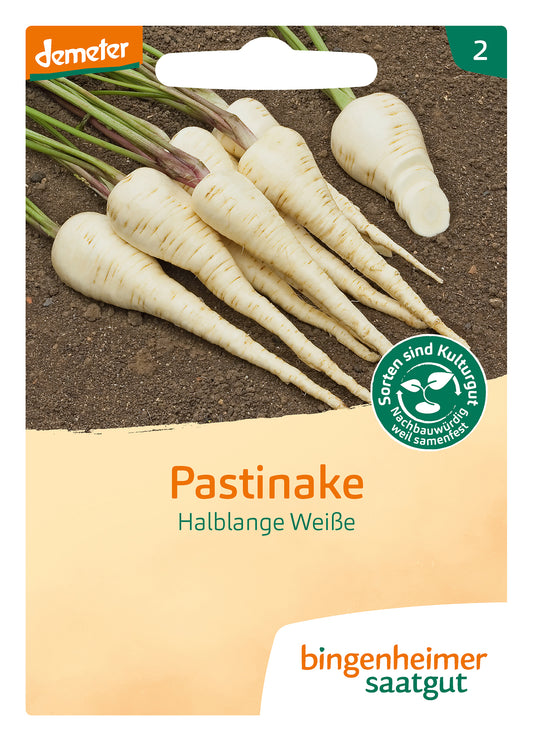 Artikelbild 1 von "BIO Pastinake Halbl. Weiße" aus der Kategorie Pastinakensamen