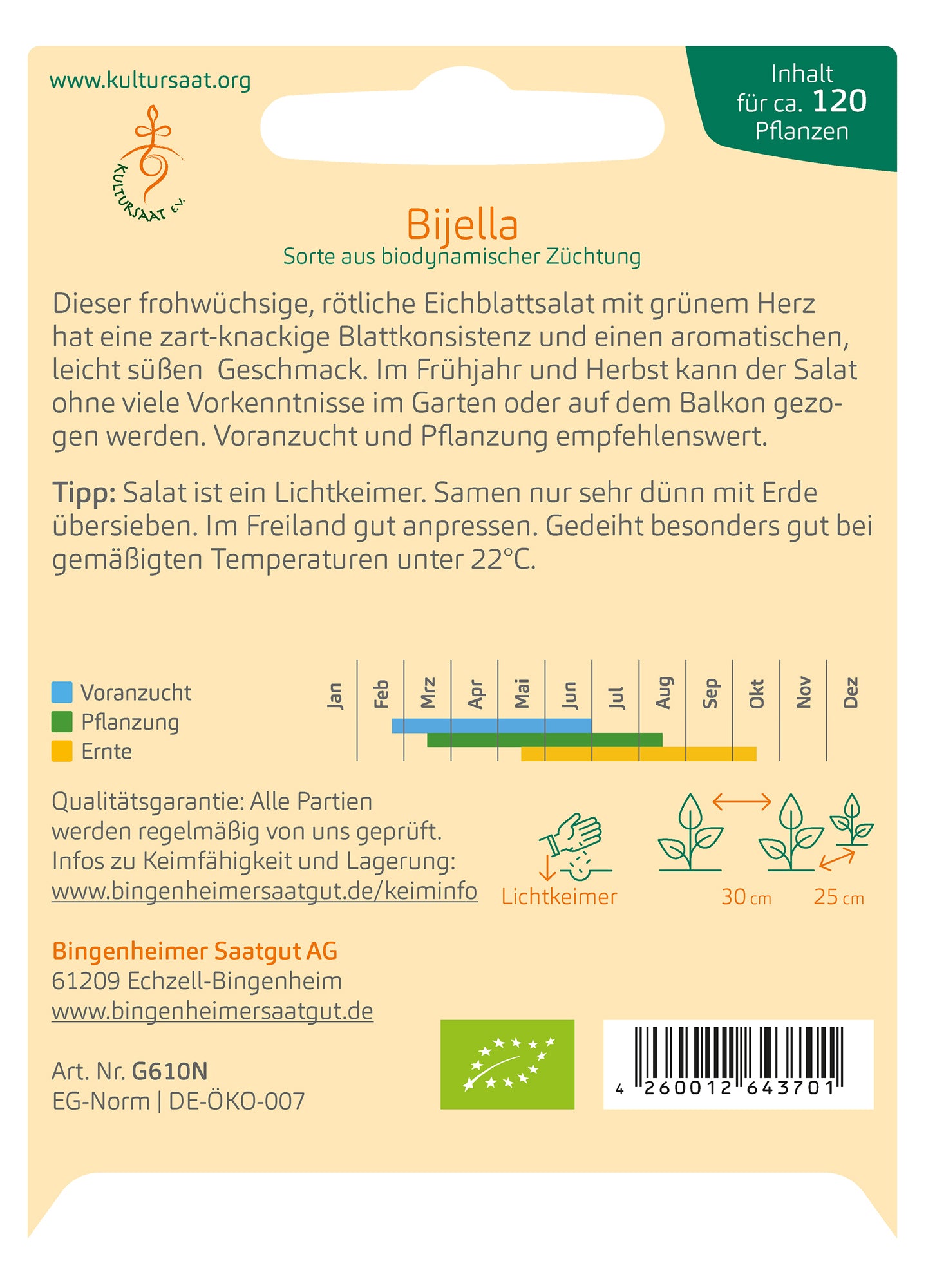 Artikelbild 2 von "BIO Eichblattsalat Bijella" aus der Kategorie Salatsamen