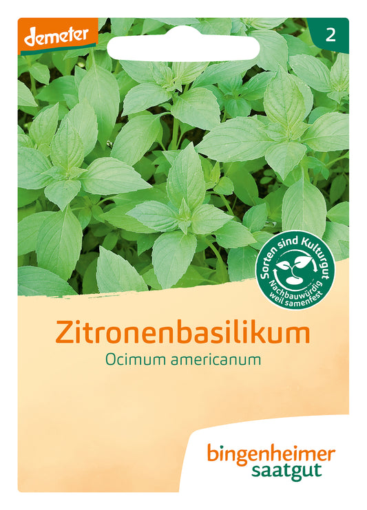 Artikelbild 1 von "BIO Zitronenbasilikum" aus der Kategorie Basilikumsamen